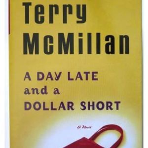 A Day Late and A Dollar Short Terry McMillan Book